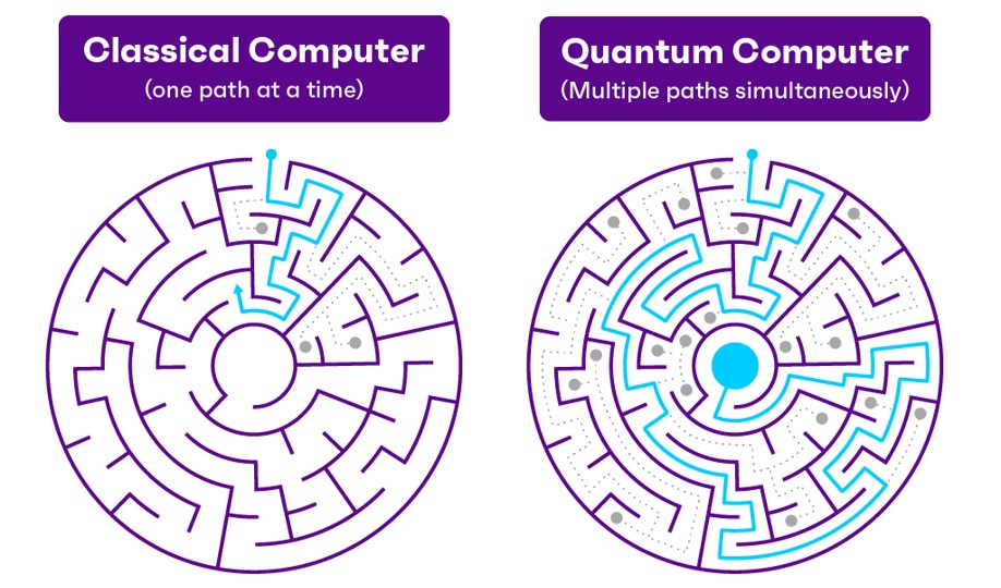 Quantum Maze
