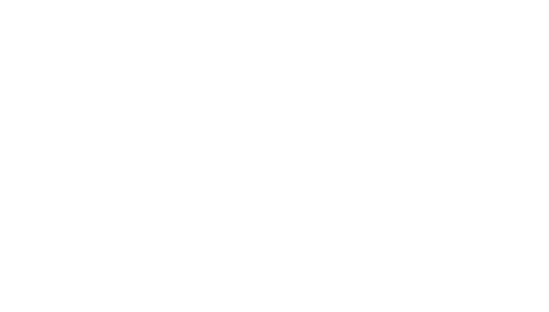 Northbridge Logo All White