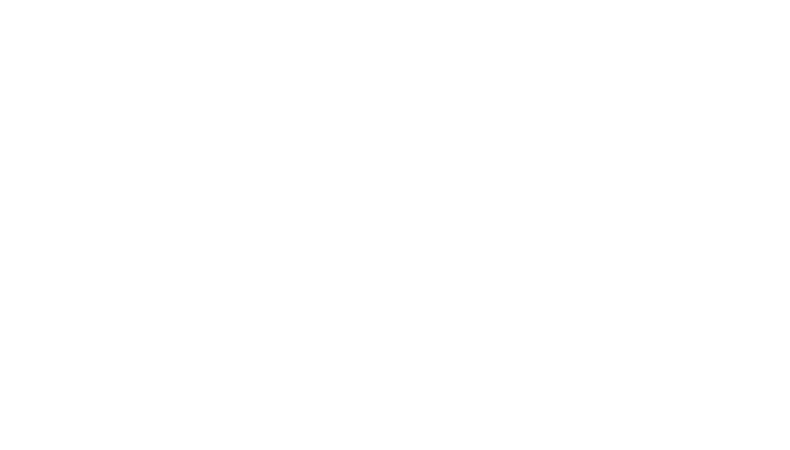 Chainguard White Logo